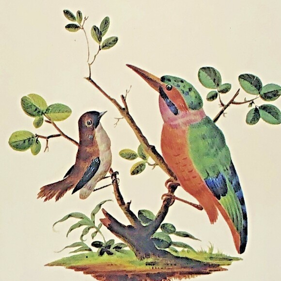 VTG Clover Leaf Wild Bird Cork Trivet Hot Pad  King Fisher Golden Finch Set Of 3 - Picture 8 of 12